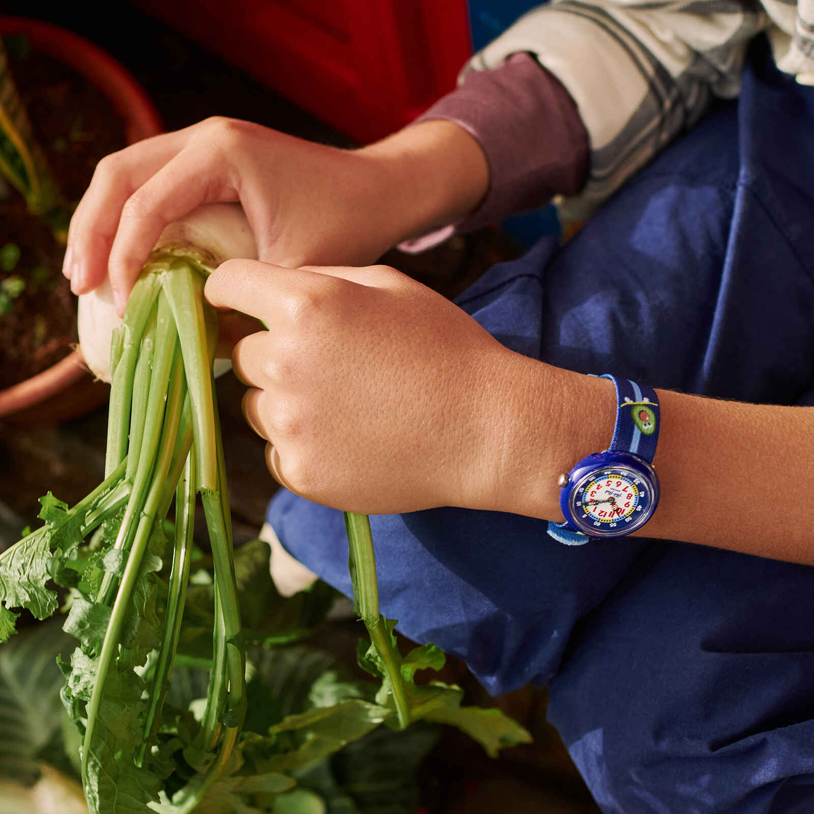 "BRAVOCADO" Gallery Image #1