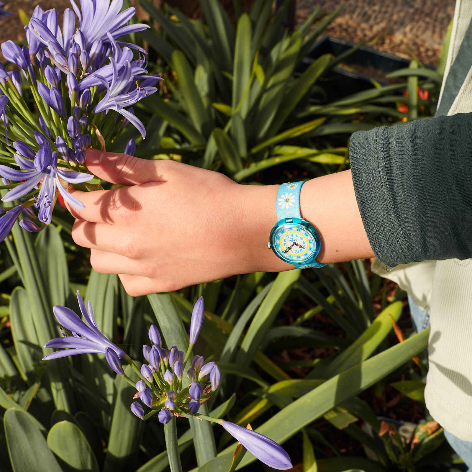 "SPARKLING DAISY" Gallery Image #1